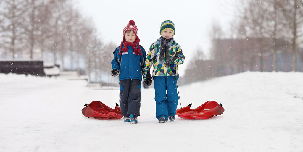Megablitzen Sleds