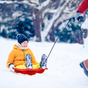 T-Rex Saucer Sled, Red