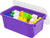 Small Cubby Bin with Lid, Purple