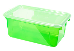 Small Cubby Bin with Lid, Tint Green