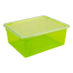 Deep Storage Tray with Lid, Assorted Tints
