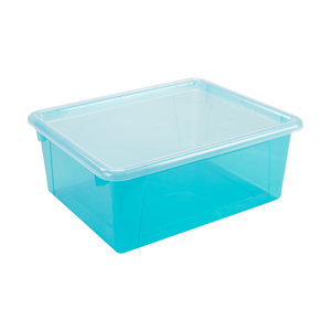Deep Storage Tray with Lid, Assorted Tints